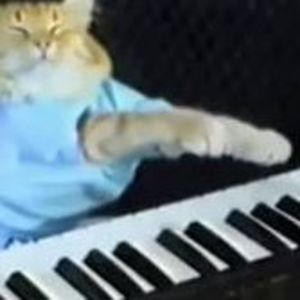 Meet your Posher, Stanley